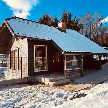 Chalet Pjagodic Cerklje na Gorenjskem Exteriör bild