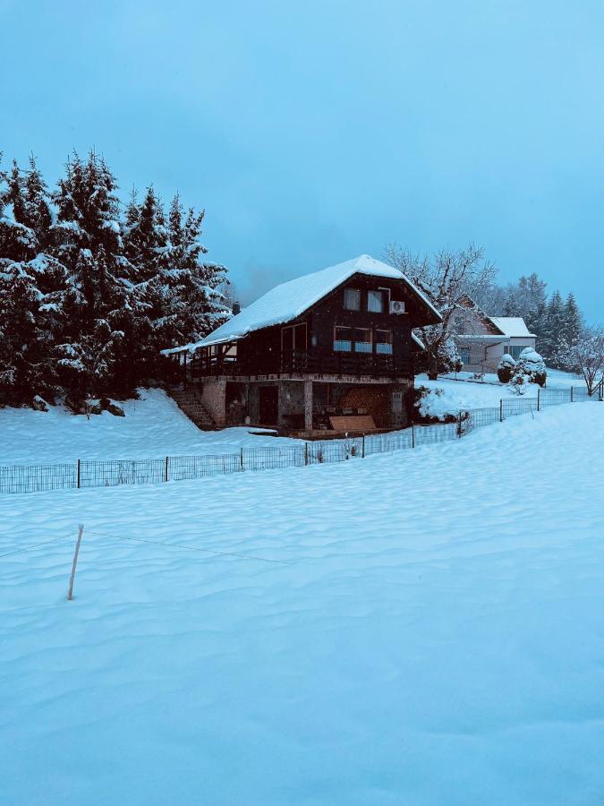 Chalet Pjagodic Cerklje na Gorenjskem Exteriör bild