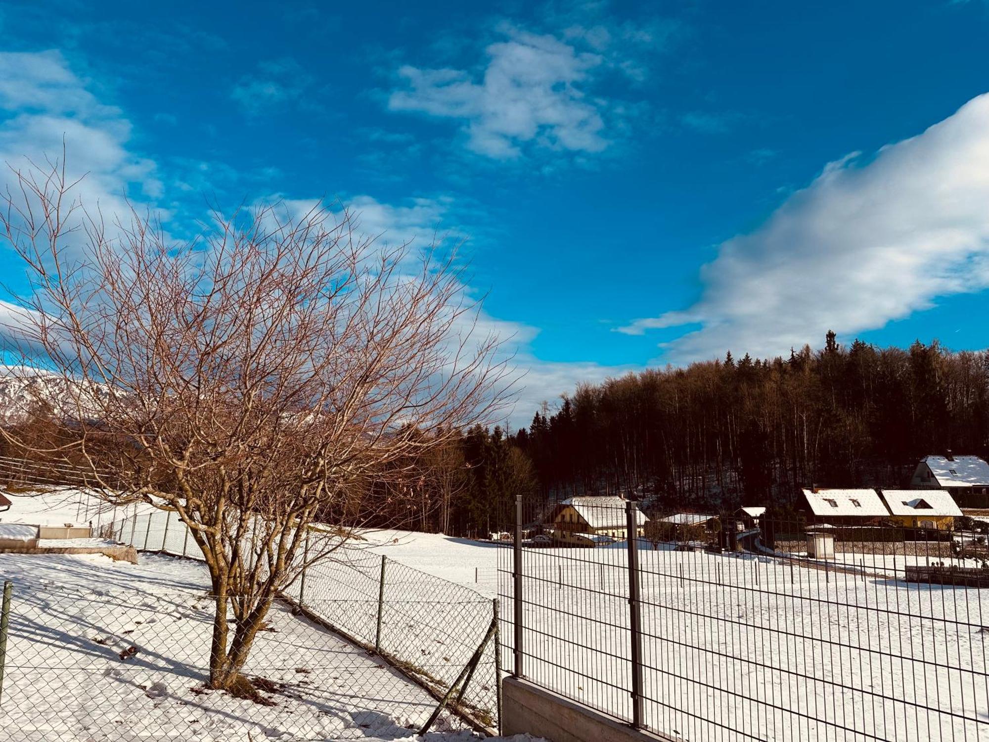 Chalet Pjagodic Cerklje na Gorenjskem Exteriör bild